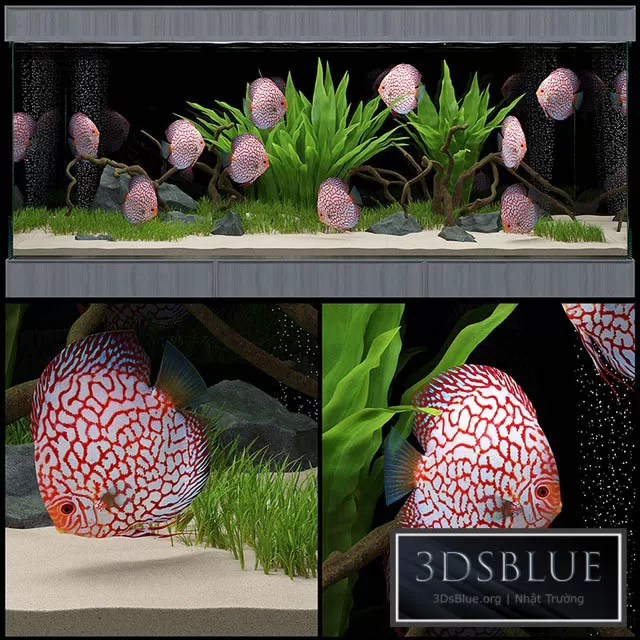 3DSKY FREE � FREE 3DS MAX MODELS