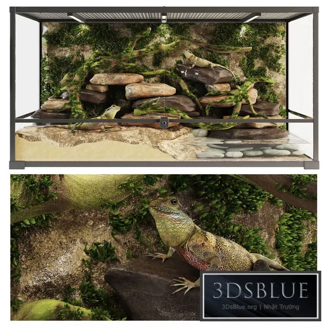 3DSKY FREE � FREE 3DS MAX MODELS