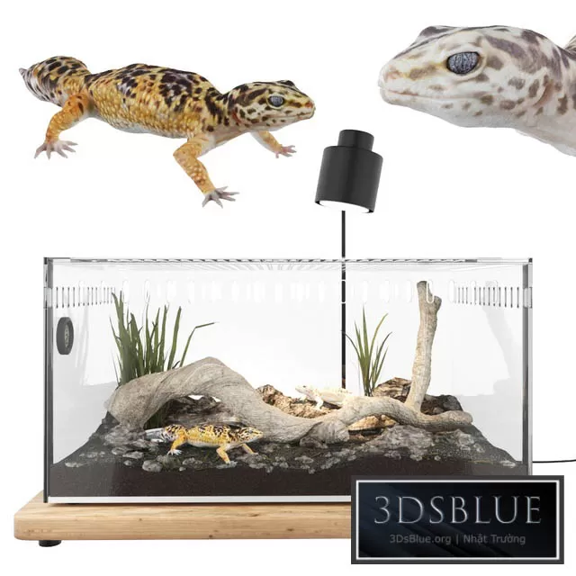 3DSKY FREE � FREE 3DS MAX MODELS