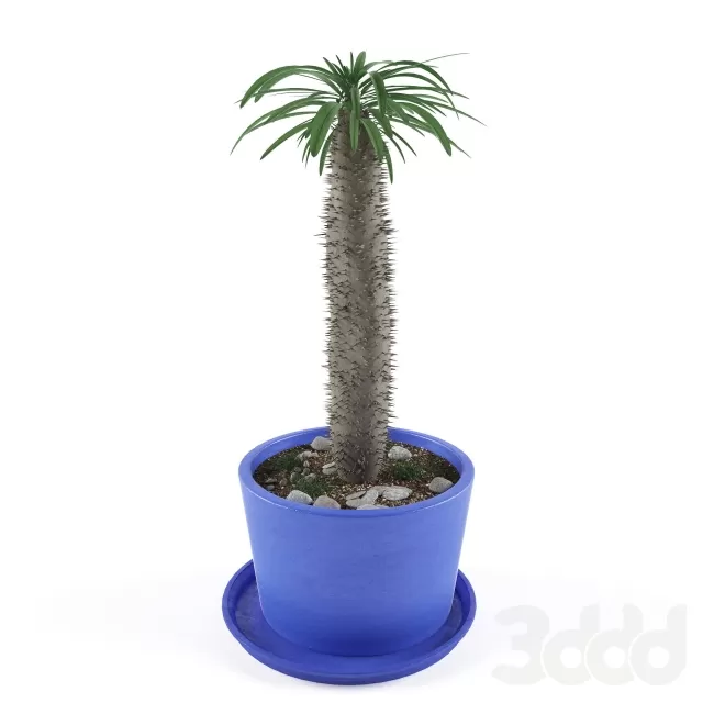 3DSKY FREE – FREE 3DS MAX MODELS