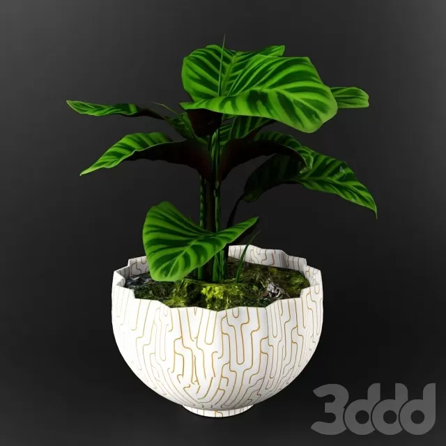 3DSKY FREE – FREE 3DS MAX MODELS