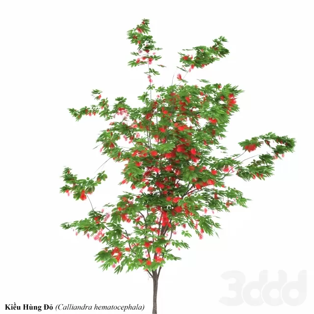 3DSKY FREE – FREE 3DS MAX MODELS