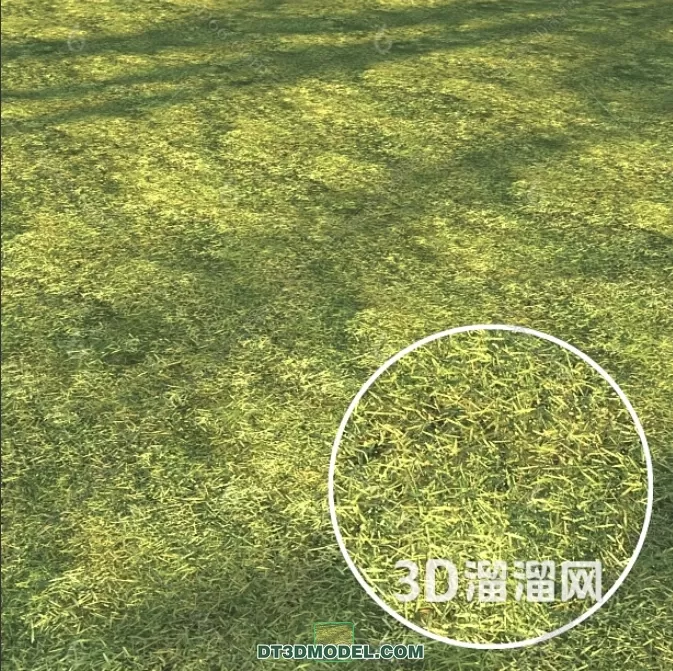 3D MODELS FREE DOWNLOAD 