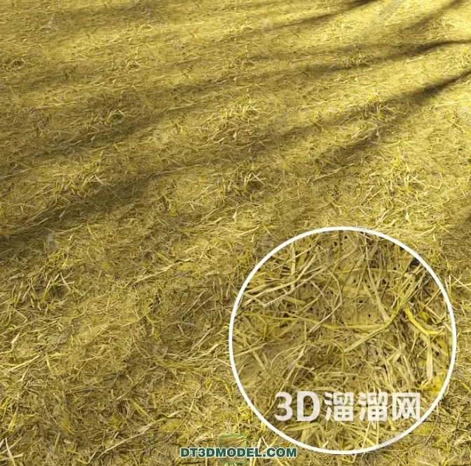 3D MODELS FREE DOWNLOAD 