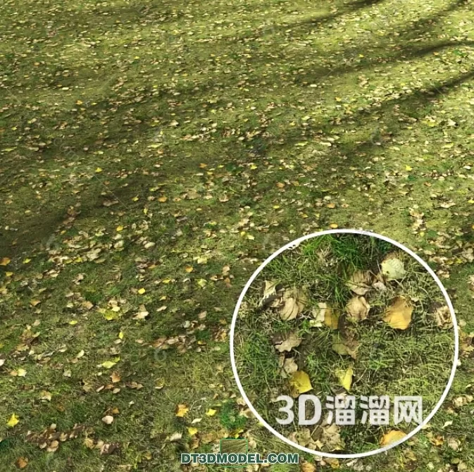 MATERIAL – TEXTURES – GRASS – 063