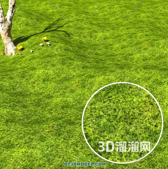 MATERIAL – TEXTURES – GRASS – 076
