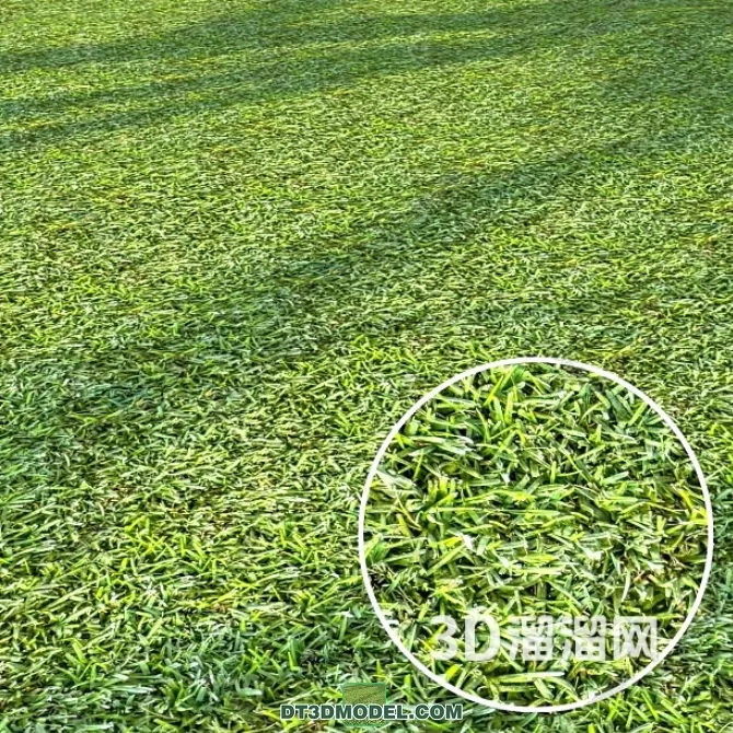 3D MODELS FREE DOWNLOAD 