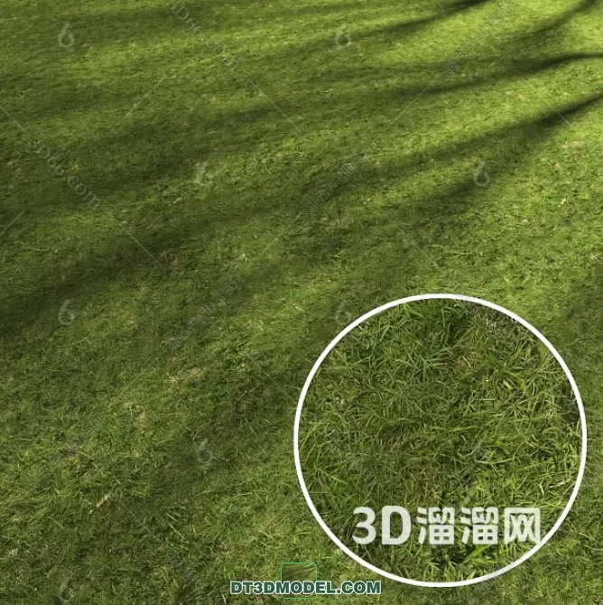 3D MODELS FREE DOWNLOAD 