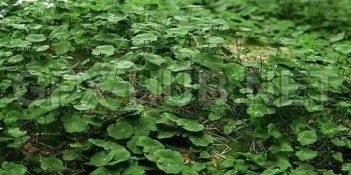 3DSKY FREE – FREE 3DS MAX MODELS