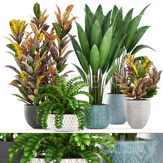 3DSKY FREE – FREE 3DS MAX MODELS