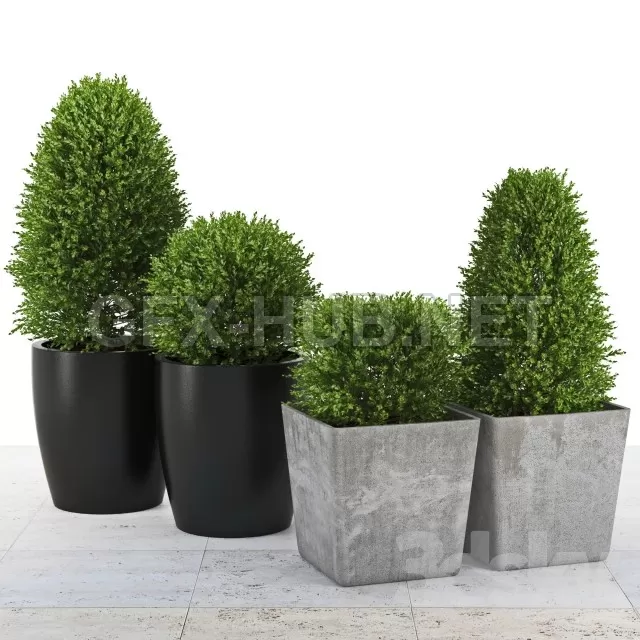 3DSKY FREE – FREE 3DS MAX MODELS