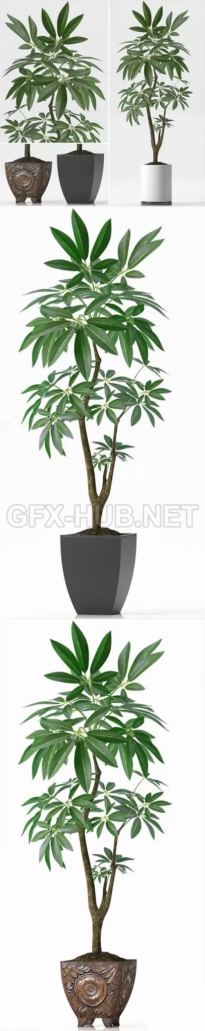 3DSKY FREE – FREE 3DS MAX MODELS