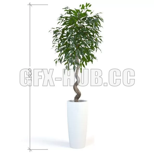 3DSKY FREE – FREE 3DS MAX MODELS