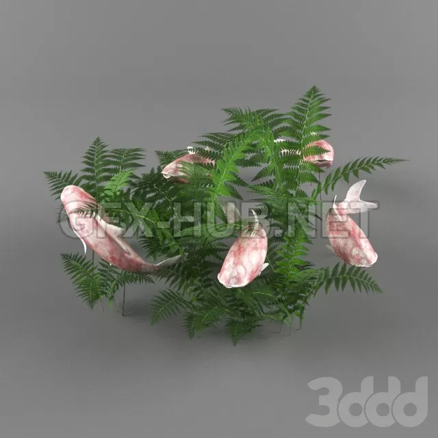 Fish koi – 214485