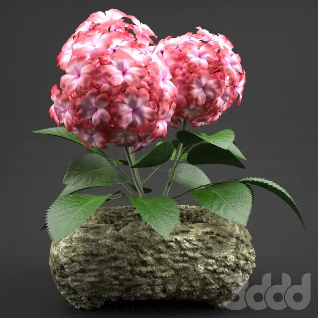 3DSKY FREE – FREE 3DS MAX MODELS