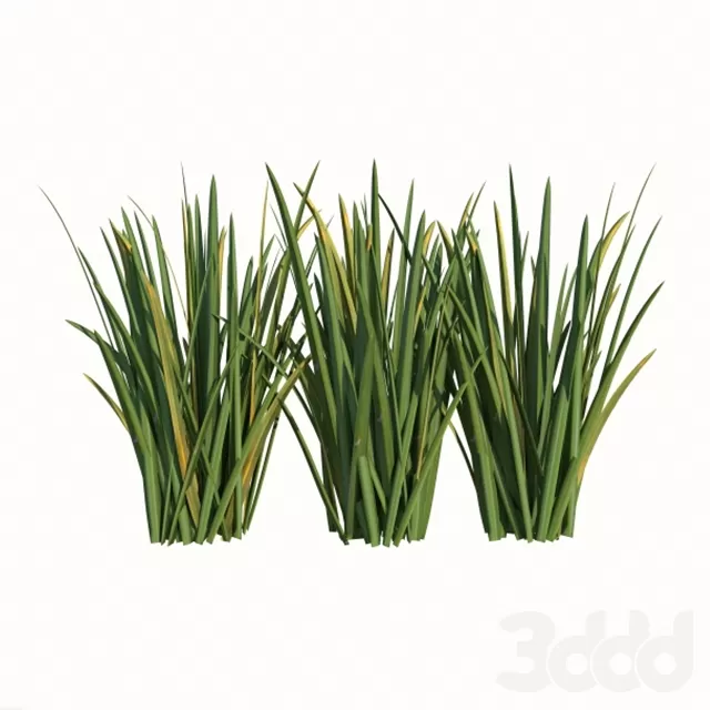 3DSKY FREE – FREE 3DS MAX MODELS