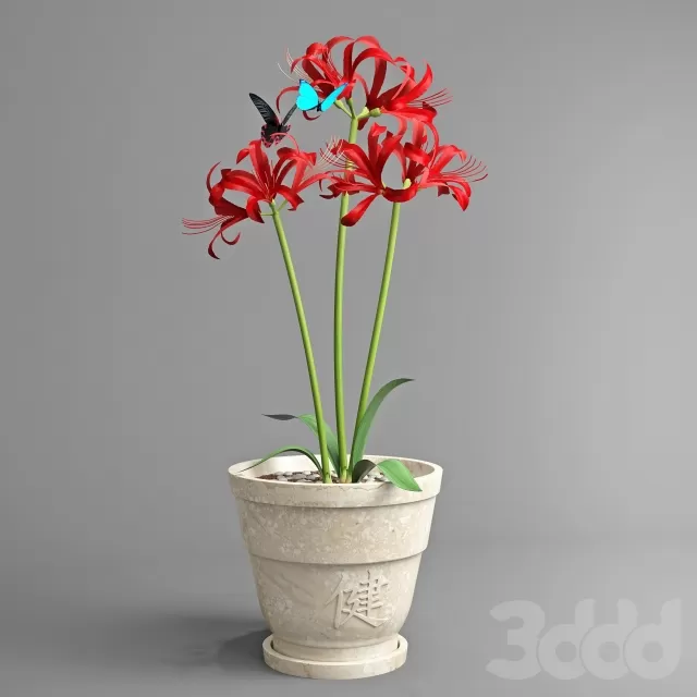 3DSKY FREE – FREE 3DS MAX MODELS