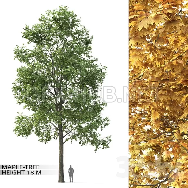 3DSKY FREE – FREE 3DS MAX MODELS