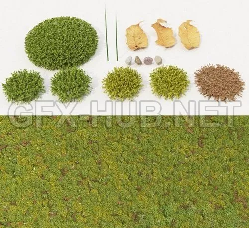 3D MODELS FREE DOWNLOAD 