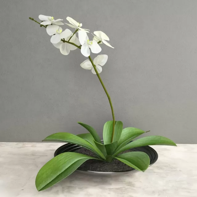 3DSKY FREE – FREE 3DS MAX MODELS