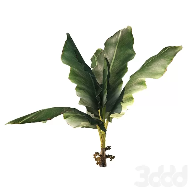 3DSKY FREE – FREE 3DS MAX MODELS