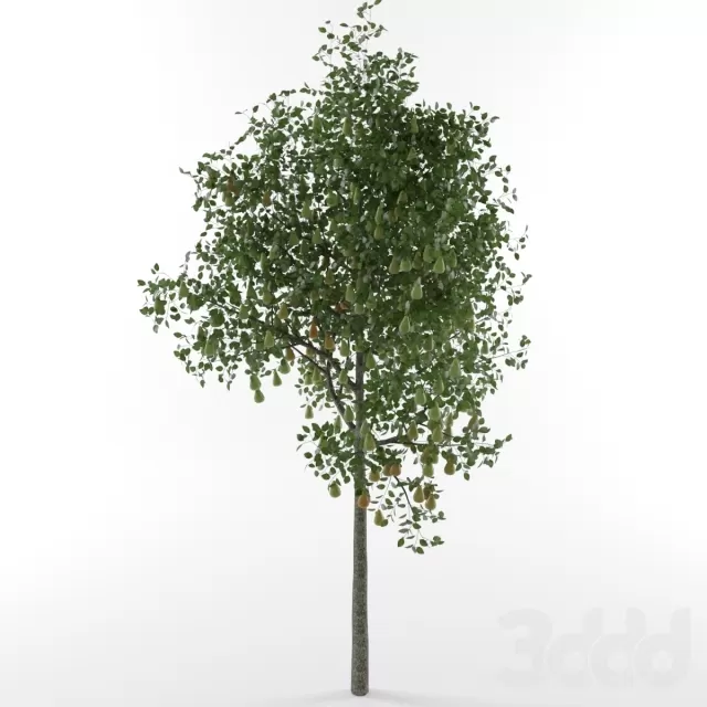 3DSKY FREE – FREE 3DS MAX MODELS