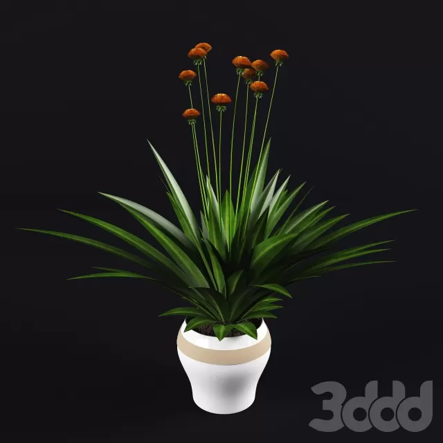 3DSKY FREE – FREE 3DS MAX MODELS