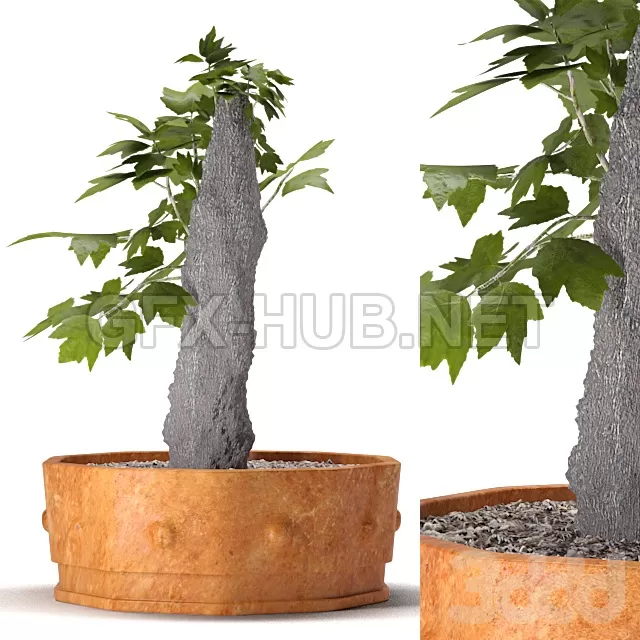 3DSKY FREE – FREE 3DS MAX MODELS