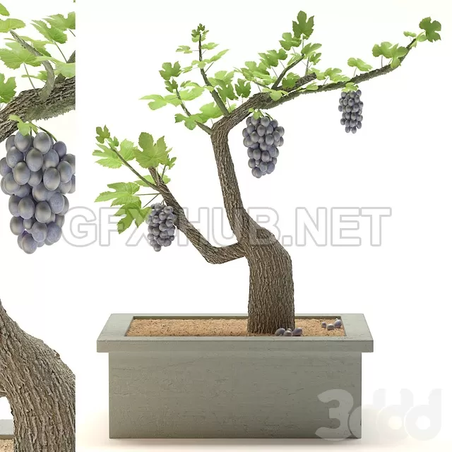 3DSKY FREE – FREE 3DS MAX MODELS