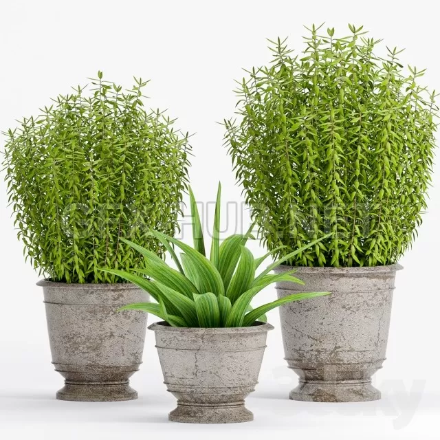 3DSKY FREE – FREE 3DS MAX MODELS