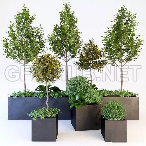 3D MODELS FREE DOWNLOAD 