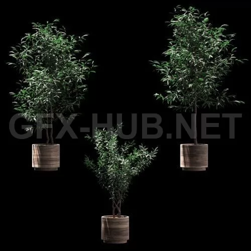 3DSKY FREE – FREE 3DS MAX MODELS