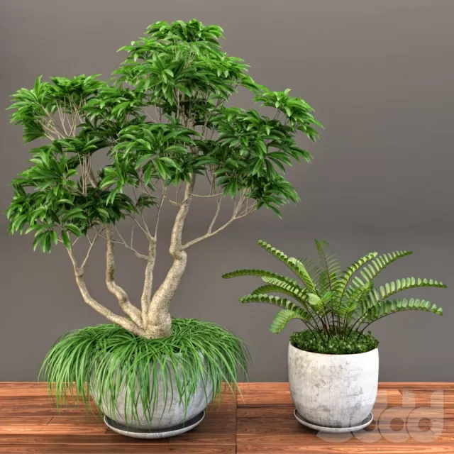 3DSKY FREE – FREE 3DS MAX MODELS