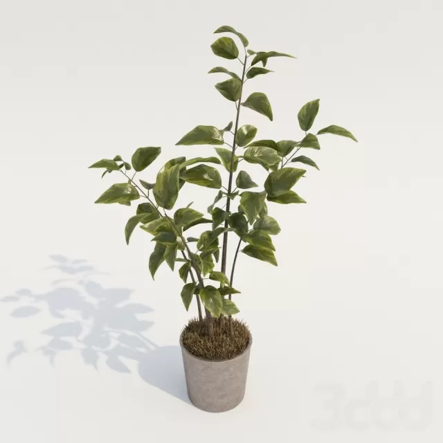 3DSKY FREE – FREE 3DS MAX MODELS