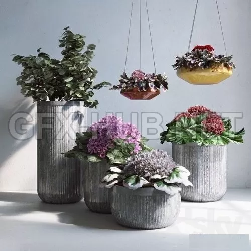 3D MODELS FREE DOWNLOAD 