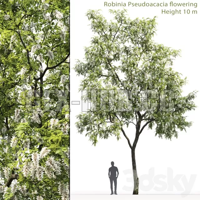 3DSKY FREE – FREE 3DS MAX MODELS