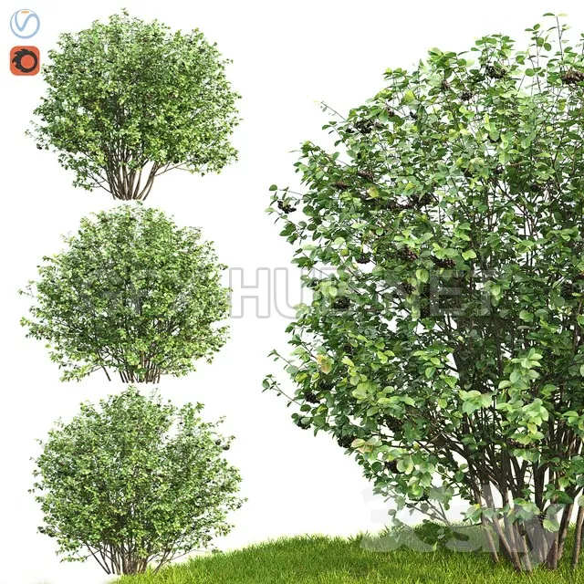 3DSKY FREE – FREE 3DS MAX MODELS