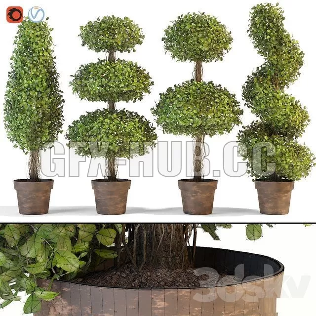 3D MODELS FREE DOWNLOAD 