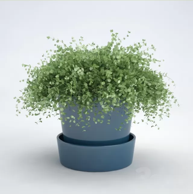 3DSKY FREE – FREE 3DS MAX MODELS