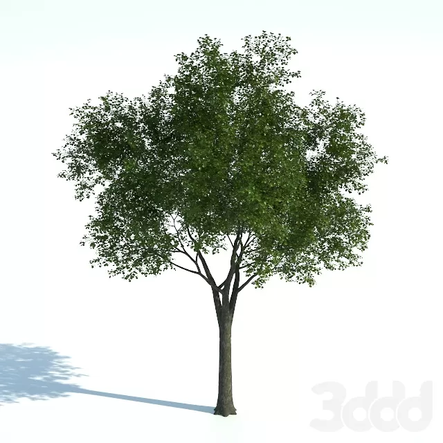 3D MODELS FREE DOWNLOAD 
