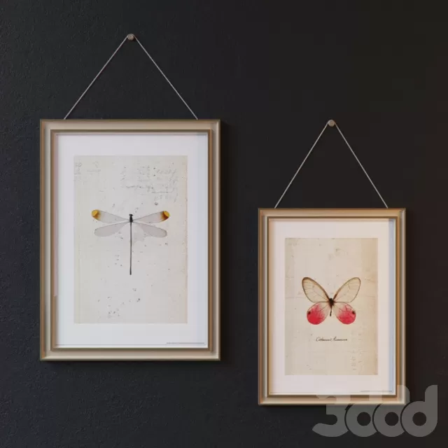 3DSKY FREE – FREE 3DS MAX MODELS