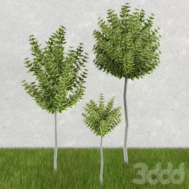 3DSKY FREE – FREE 3DS MAX MODELS