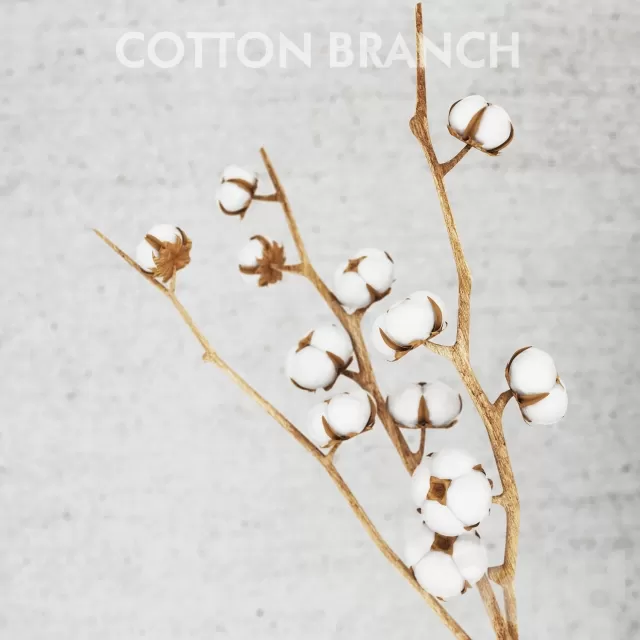 3DSKY FREE – FREE 3DS MAX MODELS