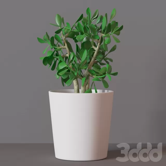 3DSKY FREE – FREE 3DS MAX MODELS