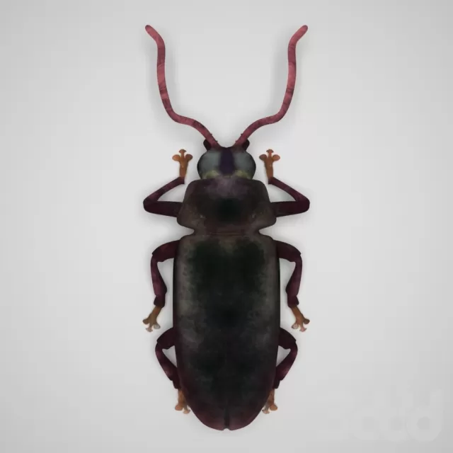 3D MODELS FREE DOWNLOAD 