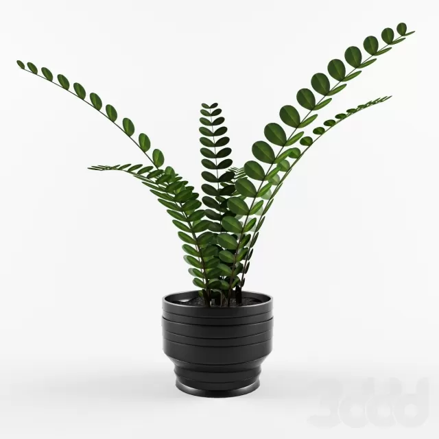 3DSKY FREE – FREE 3DS MAX MODELS