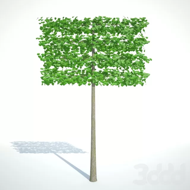 3DSKY FREE – FREE 3DS MAX MODELS