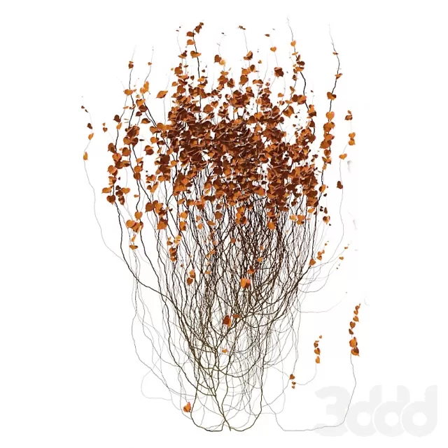 3DSKY FREE – FREE 3DS MAX MODELS