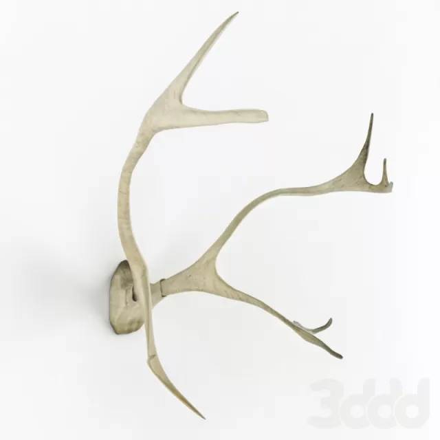 3DSKY FREE – FREE 3DS MAX MODELS