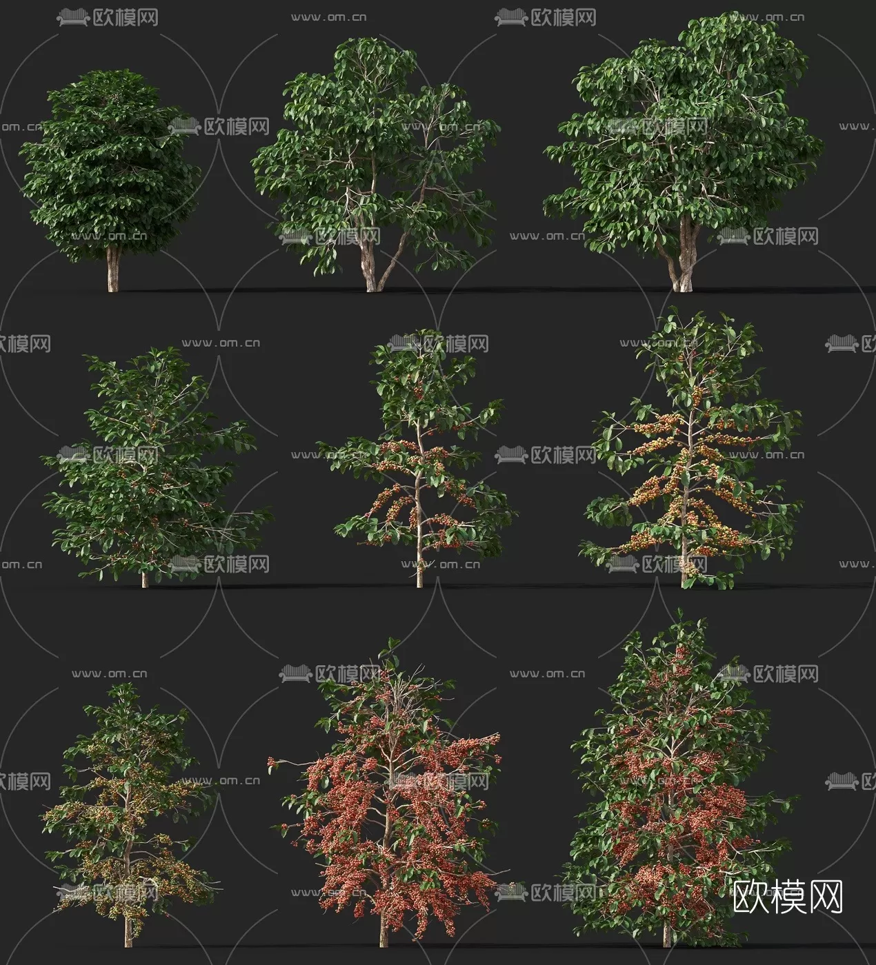 3D MODELS FREE DOWNLOAD 